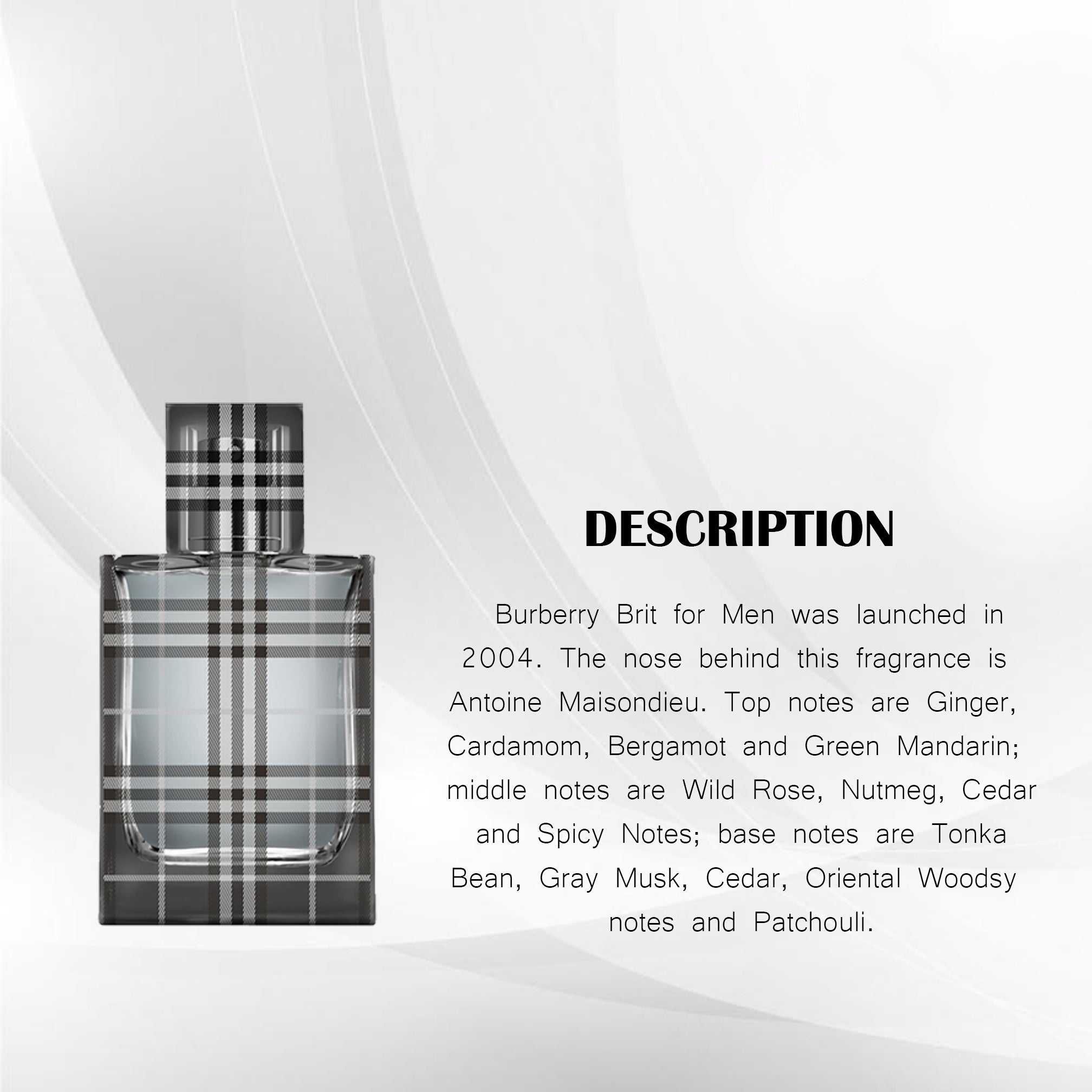 Burberry Brit store for him